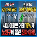 서울 아파트 거래 절반이 노원구? 강남 규제가 바꾼 지형도 이미지