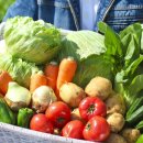 우리농산물 이미지