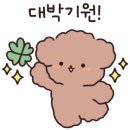 민지원헤어샵