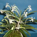 명학역 역사내 이미지