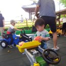 윤찬농장 이미지