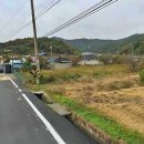 풍각면사무소 이미지