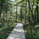 문화가 있는 날 - 해설음악회 이미지