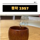 여자가 좋아하는 부드러운 술 충주 전통주 동학 1957