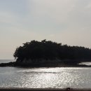 목도주유소