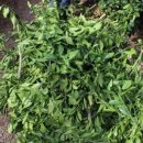 길갈농장 이미지