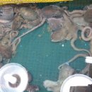 중매인55호 이미지