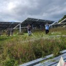 대지 태양광발전소 이미지