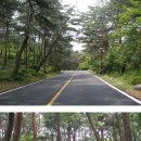 산천초목 이미지