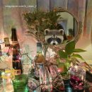 곰비디오 | [창원/진해] 진해 군항제 벚꽃축제 2025 방문 후기 서울에서 창원 진해 1박 2일 추천 경로 식당 카페