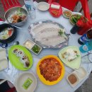 돌고래마차 - 3871 | 돌고래마차