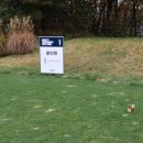 제이드 골프클럽 이미지