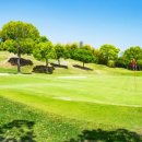 금잔디 골프 클럽 이미지