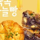 비건 빵빵이네 이미지