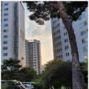 수부동산중개 이미지