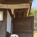 강남이네민박 이미지