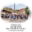남부보링 | 이탈리아 로마 콜로세움 입장권 현장 구매 방법 및 구매 후기