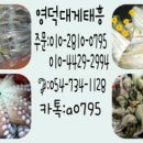 해뜨는장 이미지