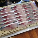 도민 준바오가 2박3일 동안 먹은 것들(맛집리스트) 이미지