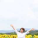 해바라기까페