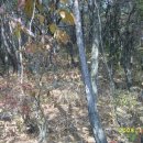 미천면-3 이미지