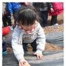 홍익농장 이미지