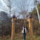 솔향기마을2단지 앞 | 외씨버선길 11코스 - 춘양목솔향기길 (2025.11.09, 일)