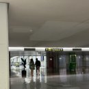 3903 | 마요르카에서 바르셀로나 이동 부엘링 항공 탑승 후기 VY3905 탑승 실패 및 VY3903 재발권 후기