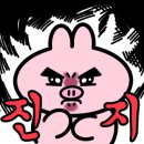 바로짜장24 이미지