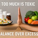 루원시티독 이미지