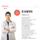 훈동물병원 | [공지] [강아지/고양이 전문 수술병원] 부산 훈동물병원이 특별한 이유