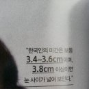 한국인 평균 눈크기와 눈 모양, 눈썹으로 보는 관상 이미지