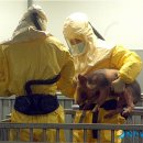 강원 염소 축산 이미지