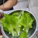 텃밭농약사 이미지