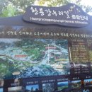 송산주차장 Daum카페