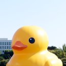 둥둥