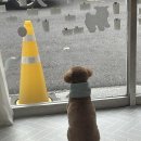 멍키매직 이미지