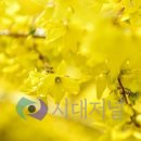 오학 걷고싶은거리 이미지