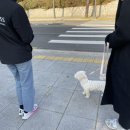 독클래스 이미지