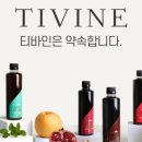 티디바인 네이버블로그