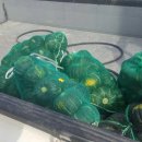 윤희농장 이미지