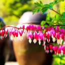 십 노 사 이미지