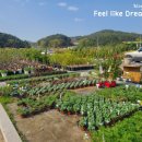 미림농장 이미지