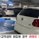 서부종합시장 - 은평구 | 서부종합시장