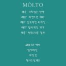 모르토