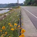 대서보건지소 이미지