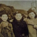 시스터즈쿠키