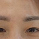 브로우살롱H