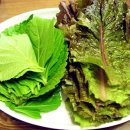 마당오리 이미지