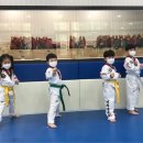 경희대금호태권도장 이미지